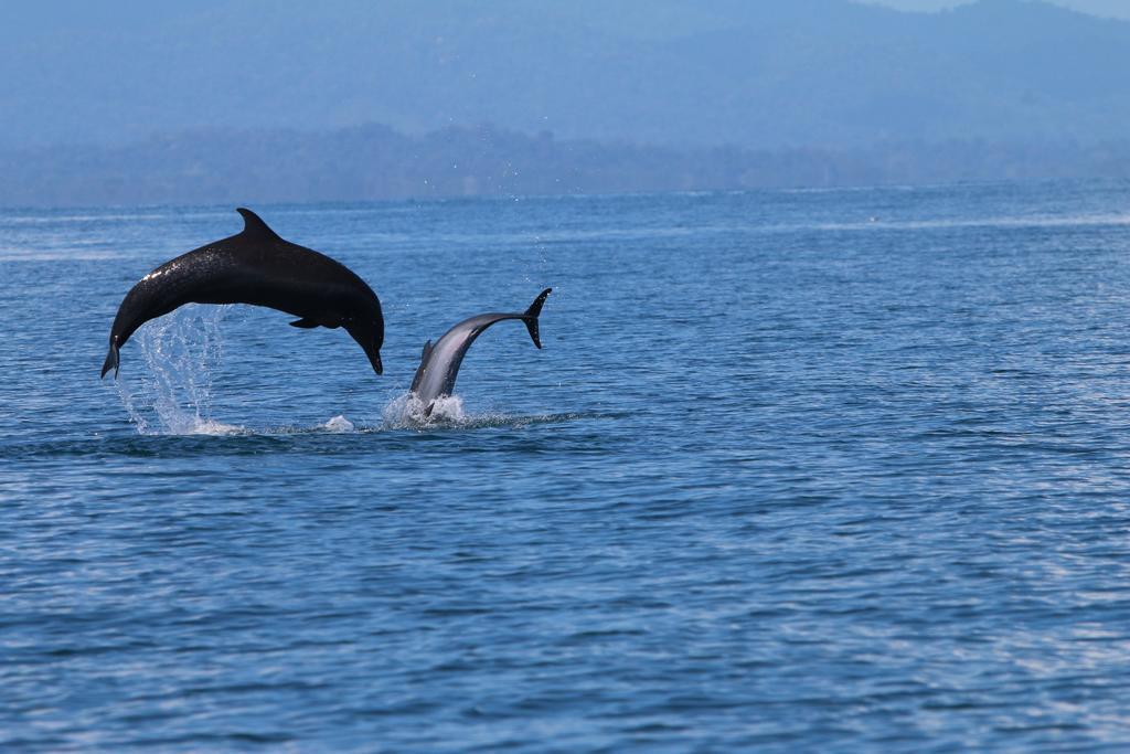 ホテル El Chontal Rincón エクステリア 写真
