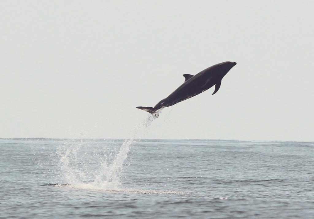 ホテル El Chontal Rincón エクステリア 写真