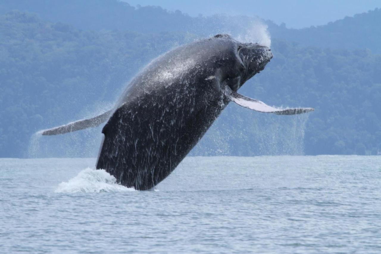ホテル El Chontal Rincón エクステリア 写真