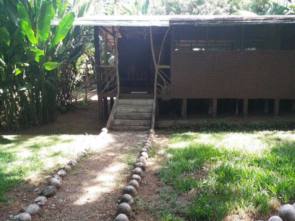 ホテル El Chontal Rincón エクステリア 写真